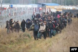 Мигранты на белорусско-польской границе. 12 ноября 2021 года