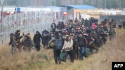 A group of migrants moves along the Belarusian-Polish border toward a camp to join those gathered at the spot and aiming to enter EU member Poland, in the Hrodna region on November 12.