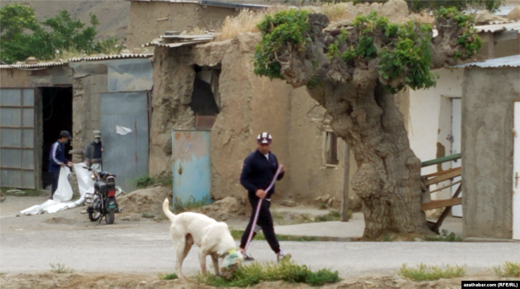 Село Нохур. Житель выгуливает собаку.