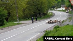 Балтера ТIеман-Гуьржийчоьнан некъ