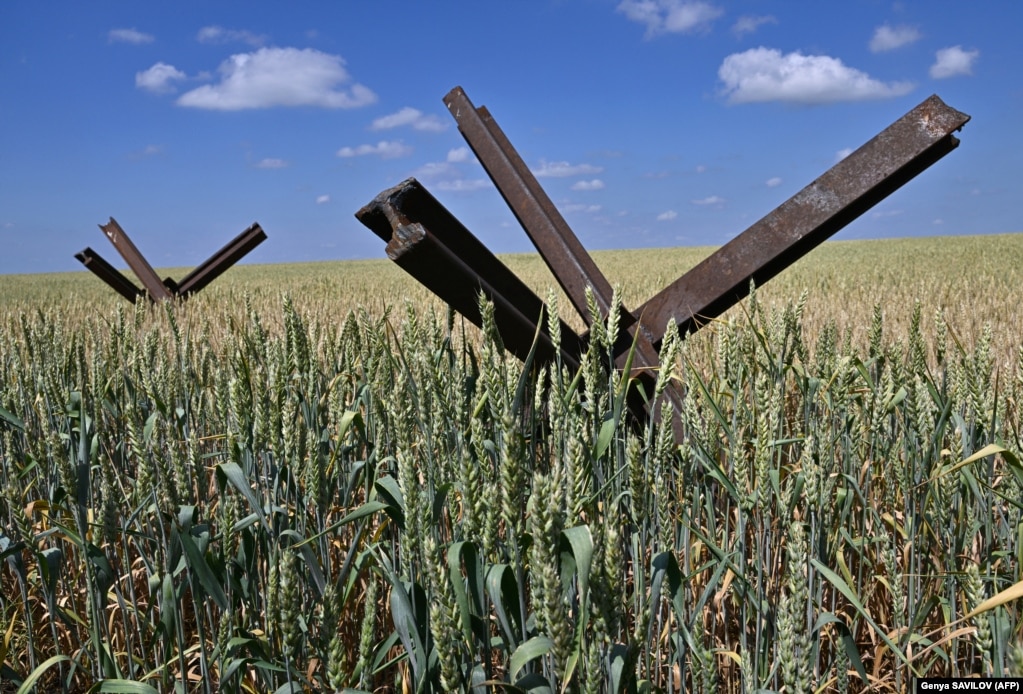 Iriqët kundër-tank në një fushë me grurë në rajonin e Mikolajivit të Ukrainës jugore, më 11 qershor.