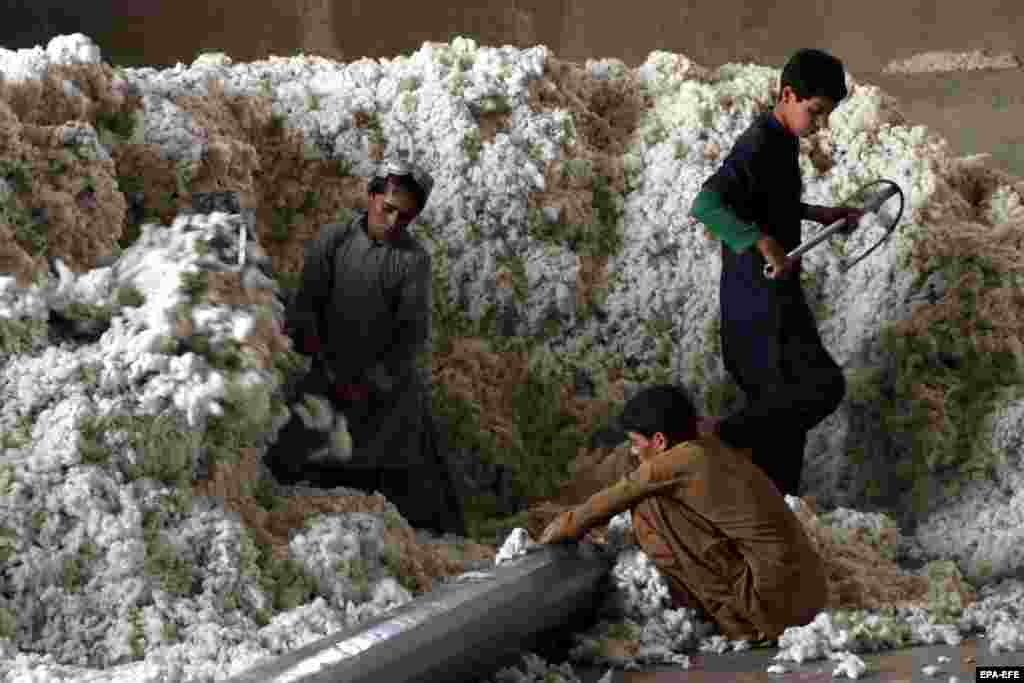 Laborers sort cotton sacks at a factory in Kandahar, Afghanistan, on June 11.