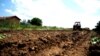 Tractor working a field of vegetables (Laktaši, Bosnia and Herzegovina)