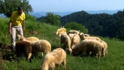 Azirovih 18 godina samoće u selu kod Srebrenice