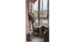 Квартира семьи Видковских