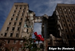 A flower grows in front of the destroyed Mykolayiv Regional Administration State building on June 8.