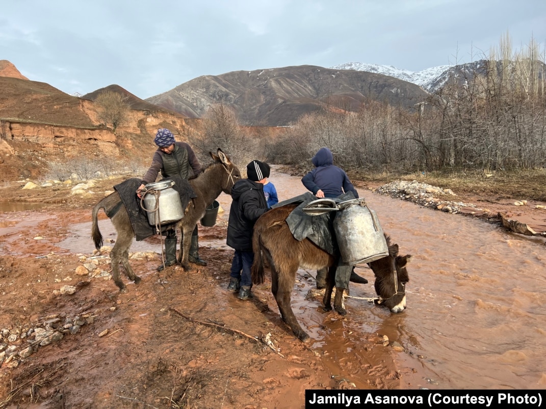 Әлемдегі ең үлкен пенис бейне