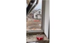 Кварира семьи Видковских