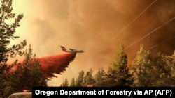 Anul trecut, în iulie 2021, în statul Oregon din SUA, au avut loc incendii de vegetație puternice din cauza temperaturilor record.