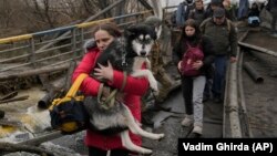 Aproape 8 milioane de ucraineni s-au refugiat în alte țări după invadarea țării de forțele ruse. Mulți au încercat să își salveze și animalele de companie. Imagine din orașul Irpin (lângă Kiev), bombardat violent de Rusia la începutul lunii martie 2022.