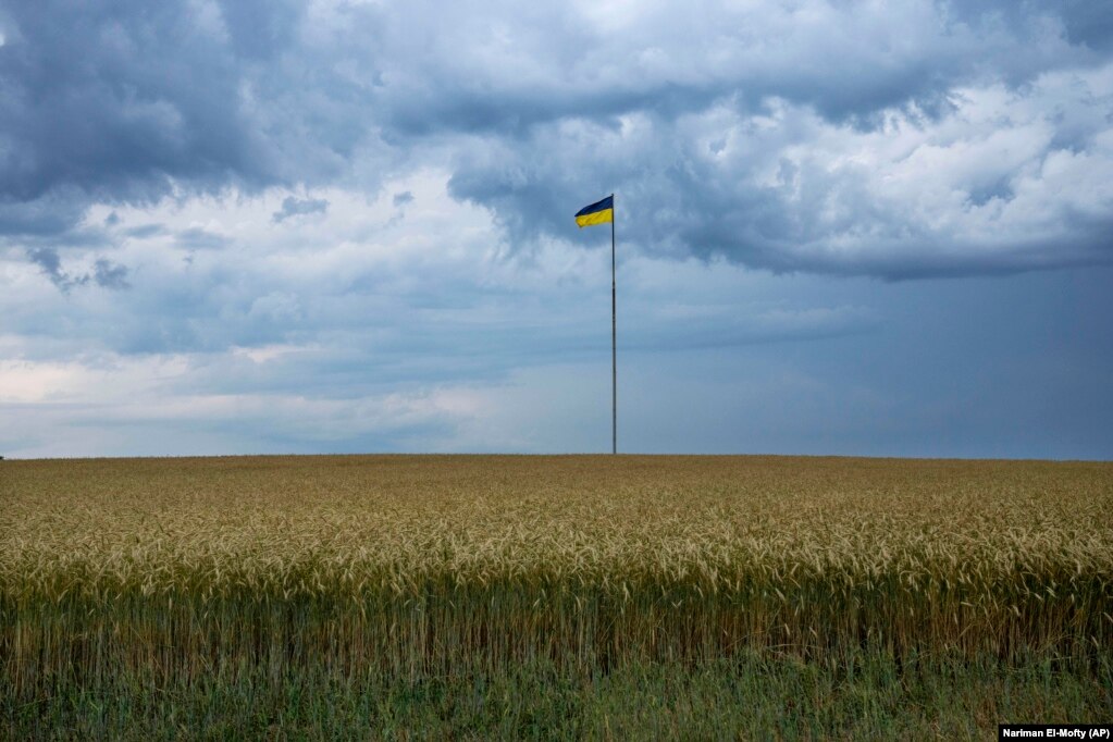 Flamuri ukrainas valëvitet në një shtyllë në mes të një are me grurë jashtë Kievit, më 29 qershor.