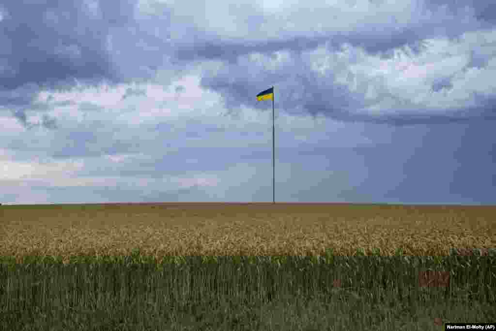 The Ukrainian flag flies on a pole in the middle of a field of wheat outside Kyiv on June 29.