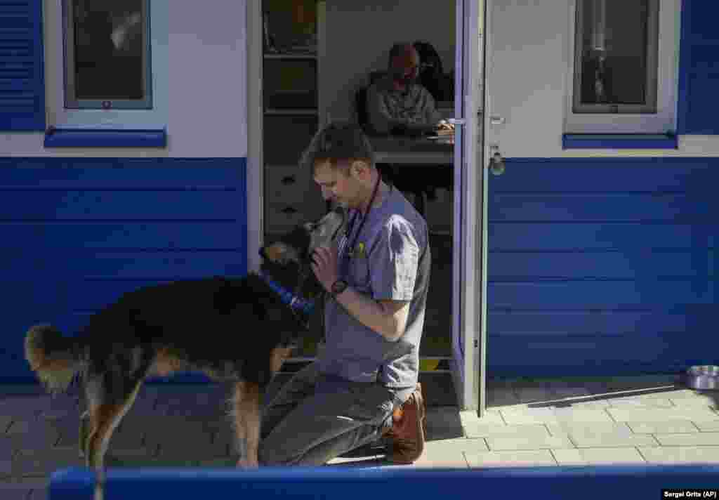 Medicul veterinar Jakob Kotowicz îmbrățișează un câine la centrul fundației ADA din Przemysl, din sud-estul Poloniei. Evacuarea animalelor a fost periculoasă, dar a fost posibilă datorită eforturilor și cooperării mai multor grupuri pentru drepturile animalelor și a refugiaților ucraineni. Fotografie din 28 martie 2022. &nbsp;