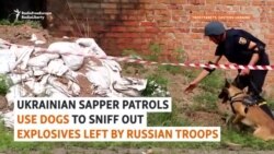 Bomb-Sniffing Dogs In Ukraine Discover Mines, Russian Uniforms Left Behind