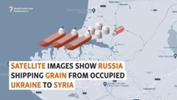 Satellite Images Show Russia Shipping Grain From Occupied Ukraine To Syria