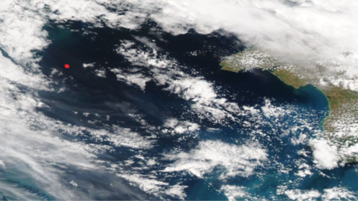 «Вишки Бойка» продовжують горіти – супутниковий знімок NASA