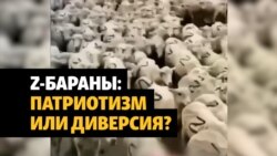 Z-бараны из Дагестана – удаленное видео