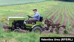 Autoritățile vor să aplice un pachet de măsuri urgente pentru reducerea impactului negativ asupra agricultorilor.