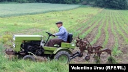 Un fermier din Cimișlia își prelucrează terenul. 