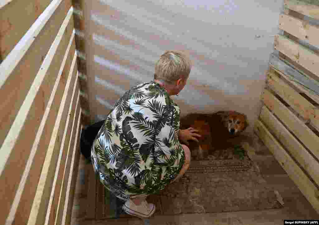 A képen látható állatorvos, Natalija Mazur hozta létre az ideiglenes állatmenhelyet