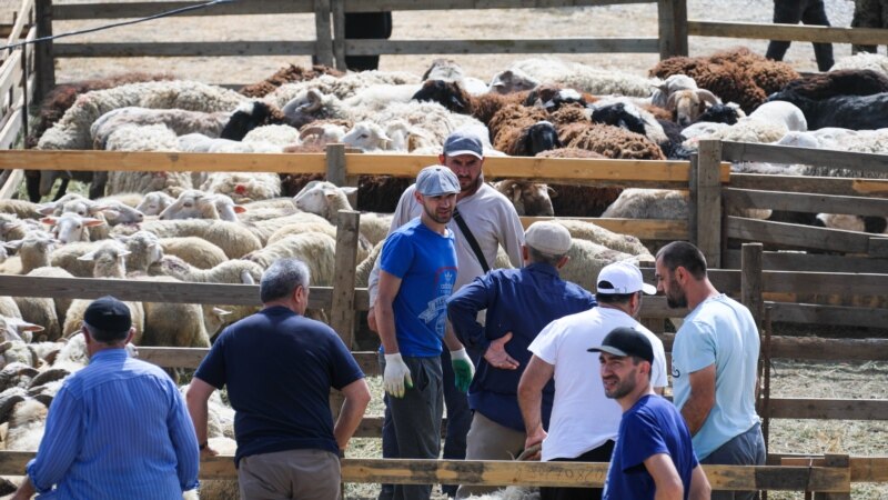Власти Кумторкалинского района Дагестана  предложили отменить закон о землях отгонного животноводства 