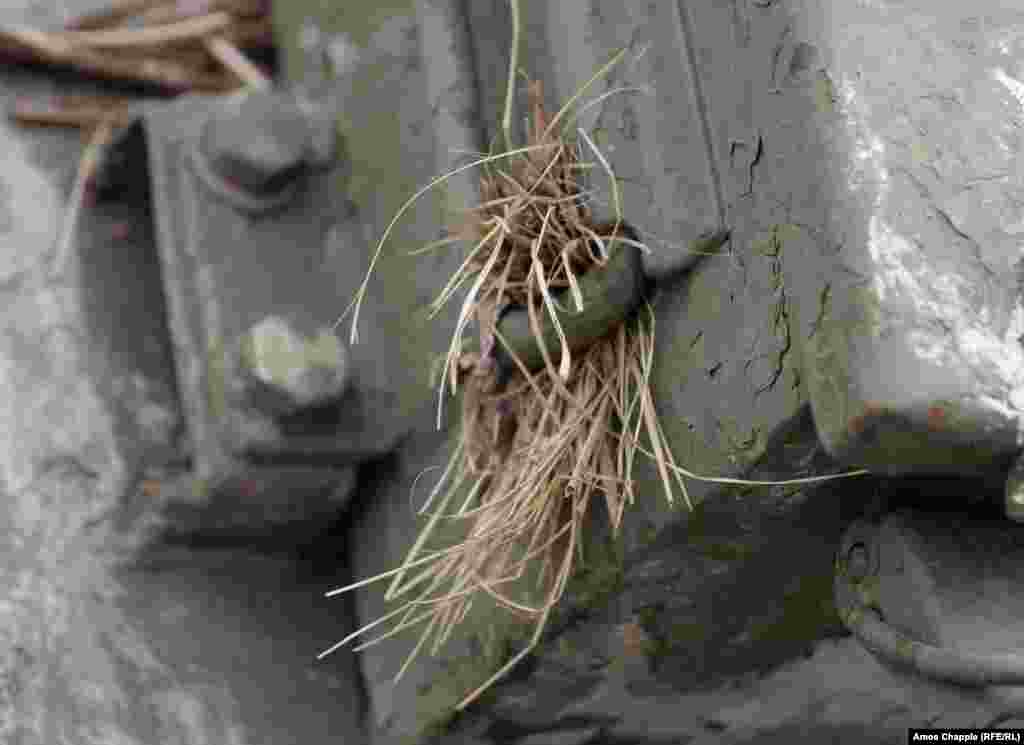A tuft of dried grass from the battlefields of Ukraine is seen on a Russian vehicle.&nbsp;