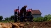 Kosovo farmers