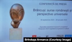 Anunțul expoziției Brâncuși la Muzeul Național de Artă Timișoara în 2023, anul Capitalei Culturale Europene