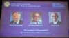 «Відновлюваний світ»: Нобелівську премію з хімії-2019 отримали творці літій-іонної батареї