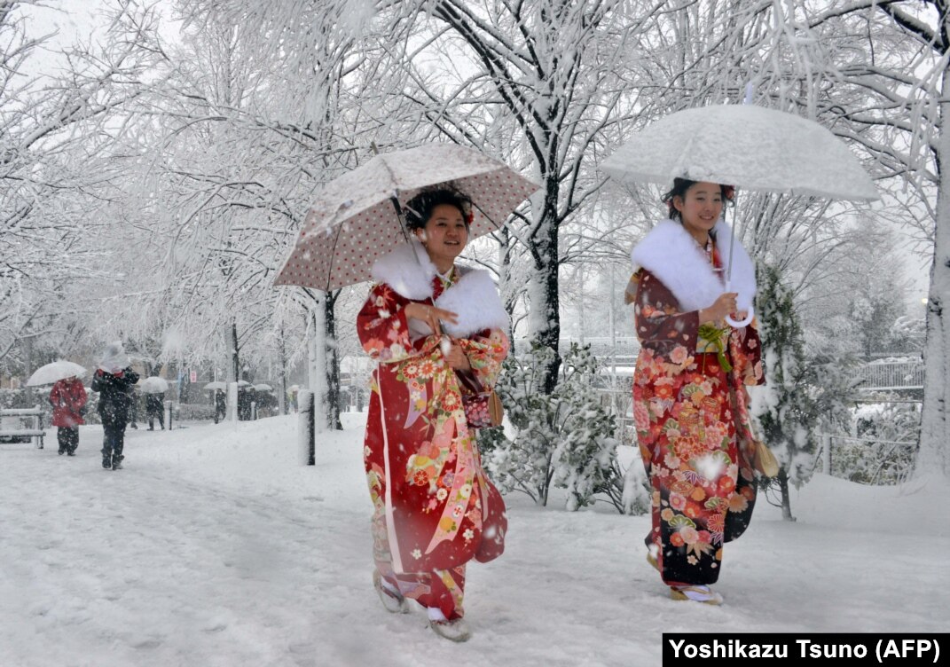 Tokyo weather: Snow storm SMASHES Tokyo for first time in 4 years