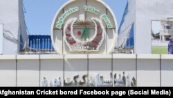 آرشیف/ لوحه کریکت بورد افغانستان 
