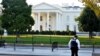 США: Білий дім відреагував на заклики скасувати саміт Трампа з Путіним
