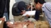  دو حمله انتحاری در پاکستان دستکم ۴۸ کشته برجای گذاشت 
