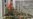 Russia: Once Welcome, Afghan Orphans Now Face Deportation