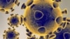 Так выглядае каранавірус COVID-19. Ілюстрацыйная выява
