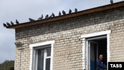 Иллюстративное фото