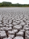 Засуха в Волгоградской области. Иллюстративное фото