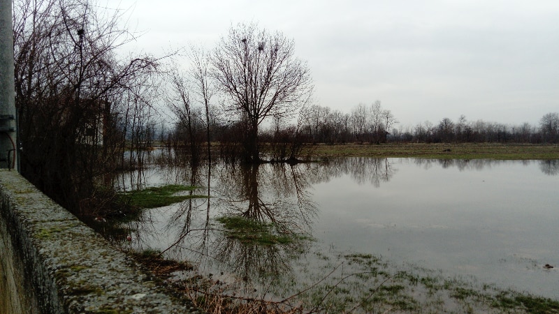 ЦУК: Поголем дел од селото Лажани е под вода