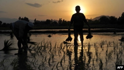 Ұйықтап жатқан адамдардың траншақтанып жатқаны туралы онлайн бейнелер Ұйықтап жатқан адамдардың траншақтанып жатқаны туралы онлайн бейнелер
