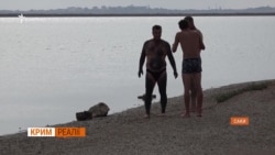 Бруд і грязі у Саках (відео)