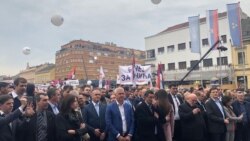 "Suština stranke jeste oblikovanje političke volje građana", navodi prof. Jovanović (na fotografiji: sa političkog mitinga u Novom Sadu)
