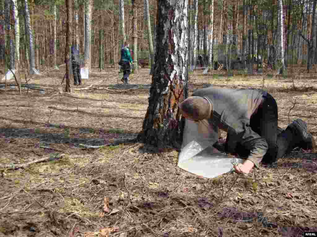 Ukraine -- Birch juice, Chernigiv region, 13Apr2010 - Березовий сік