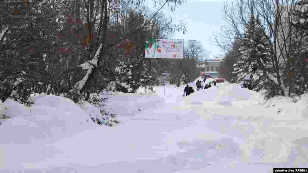 Cernoleuca, Donduseni