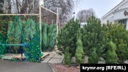 Перший ялинковий базар відкрився у Сімферополі на площі ім. Куйбишева