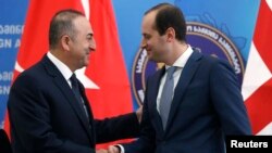 Mikheil Janelidze və Mevlut Cavusoglu
