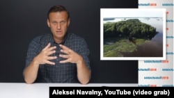 Aleksey Navalny 