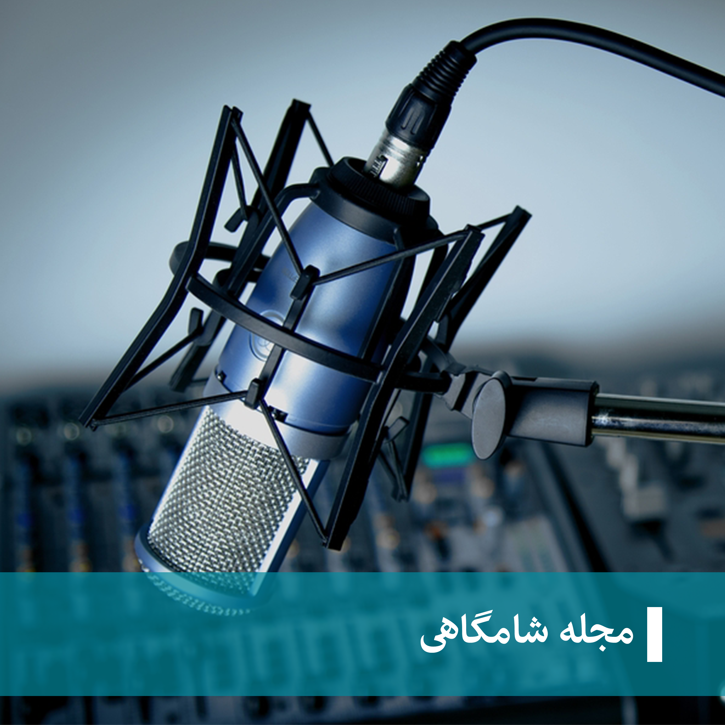 Радио фон. День радио фон. Радиоведущий со спины. Radio write. Реклама на радио сток.