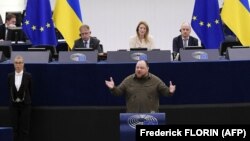 რუსლან სტეფანჩუკის გამოსვლა ევროპარლამენტში. სტრასბურგი, 8 ივნისი. 