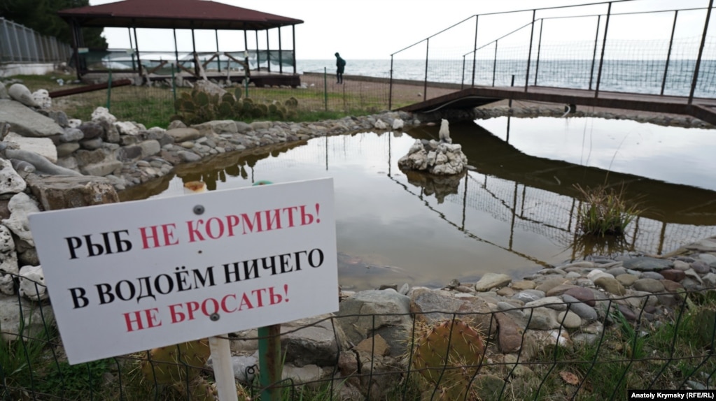 Рыбок в этом водоеме на самом деле нет