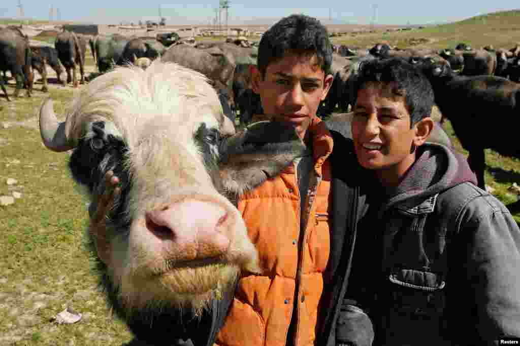 اعضای یک خانواده کشاورز؛ شمال غرب موصل